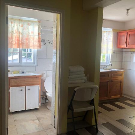 Sea World Vacation Home Roseau Dış mekan fotoğraf
