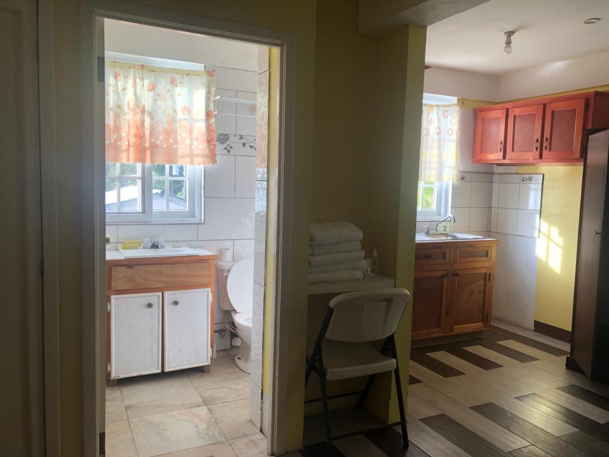 Sea World Vacation Home Roseau Dış mekan fotoğraf